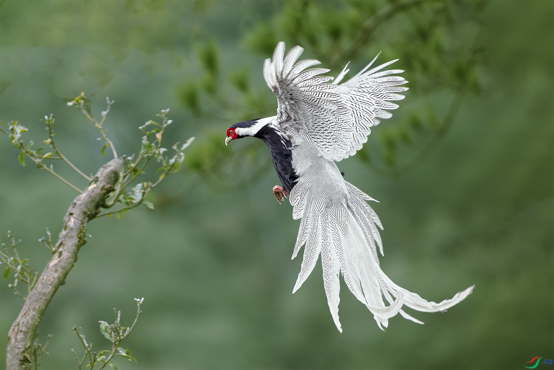 A99I8284-1s1.jpg