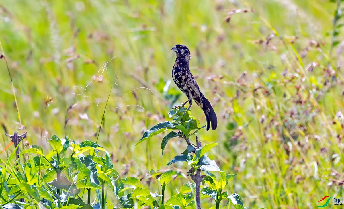 ���޿���������