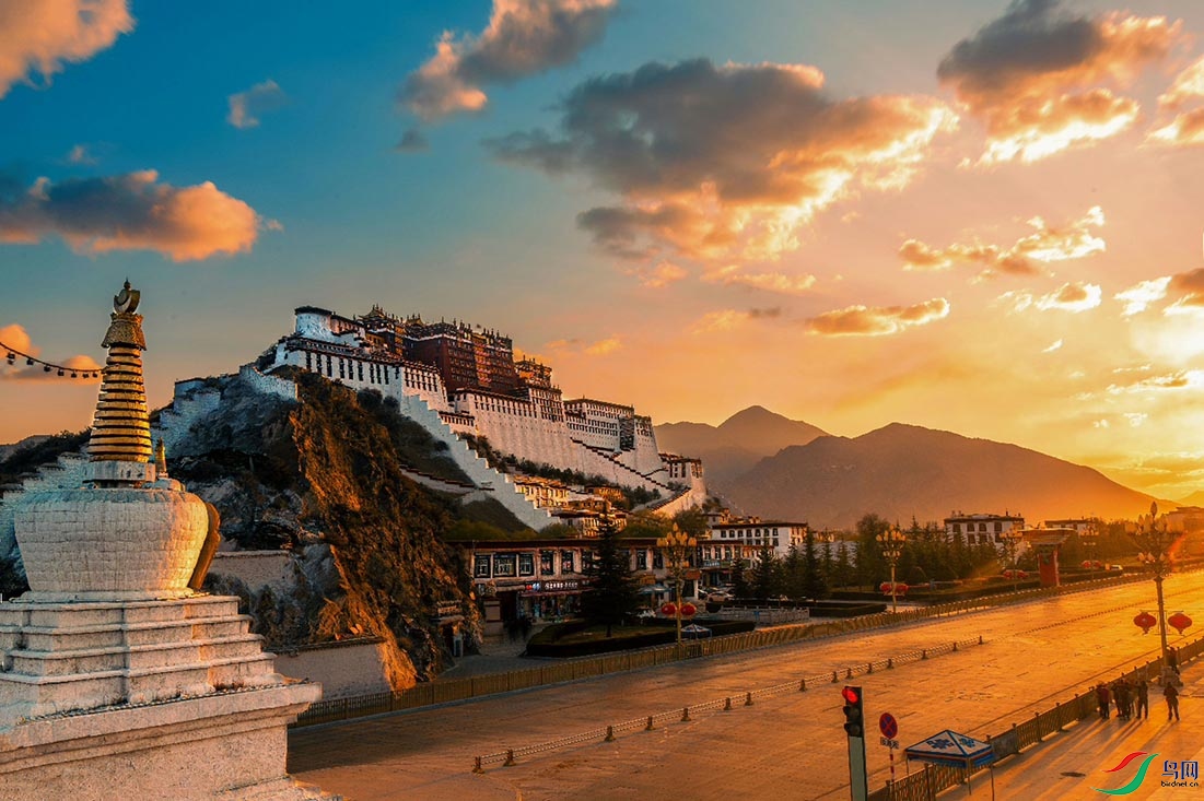 ���������ĳ�ϼ����