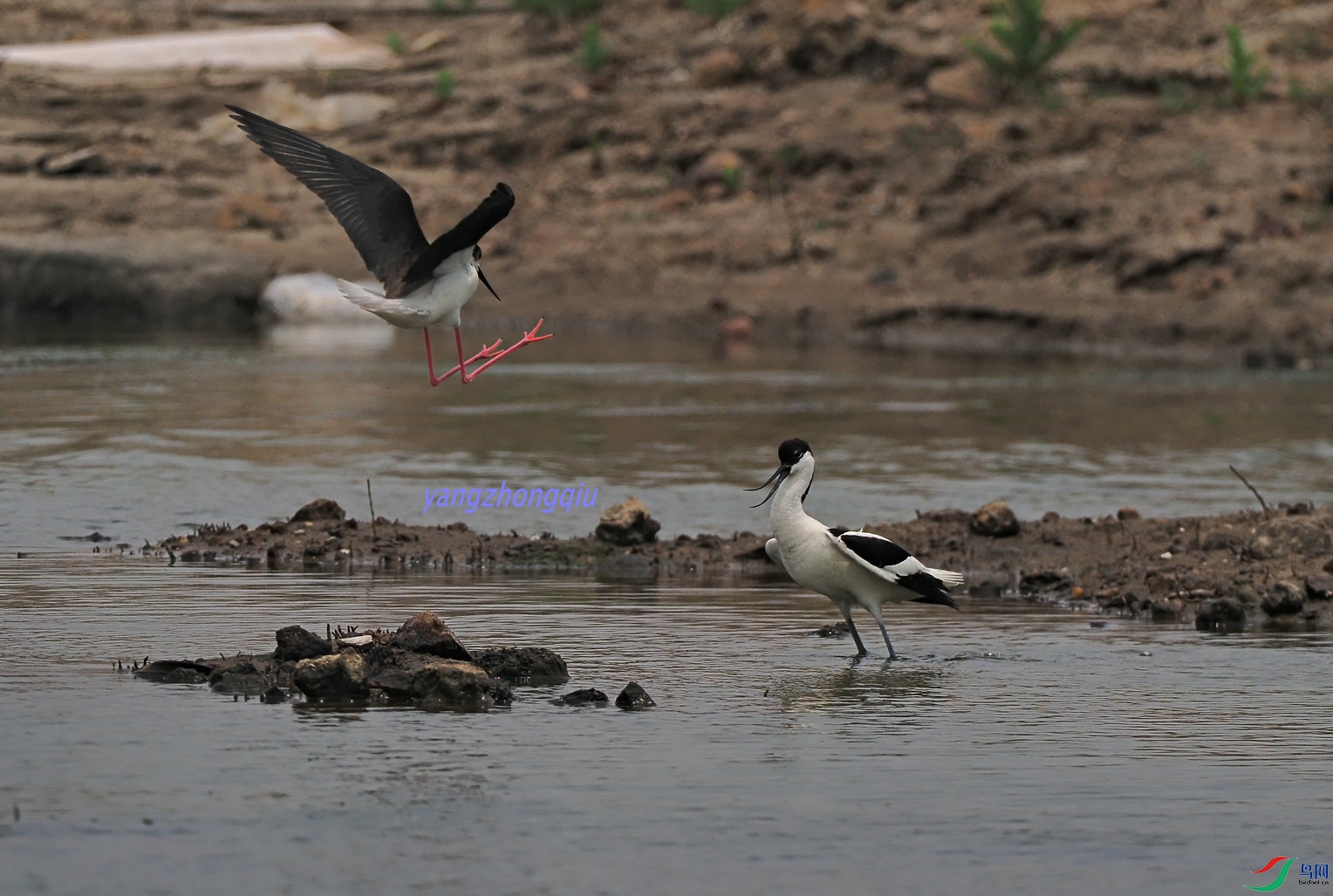 ��һ����Ϯ1