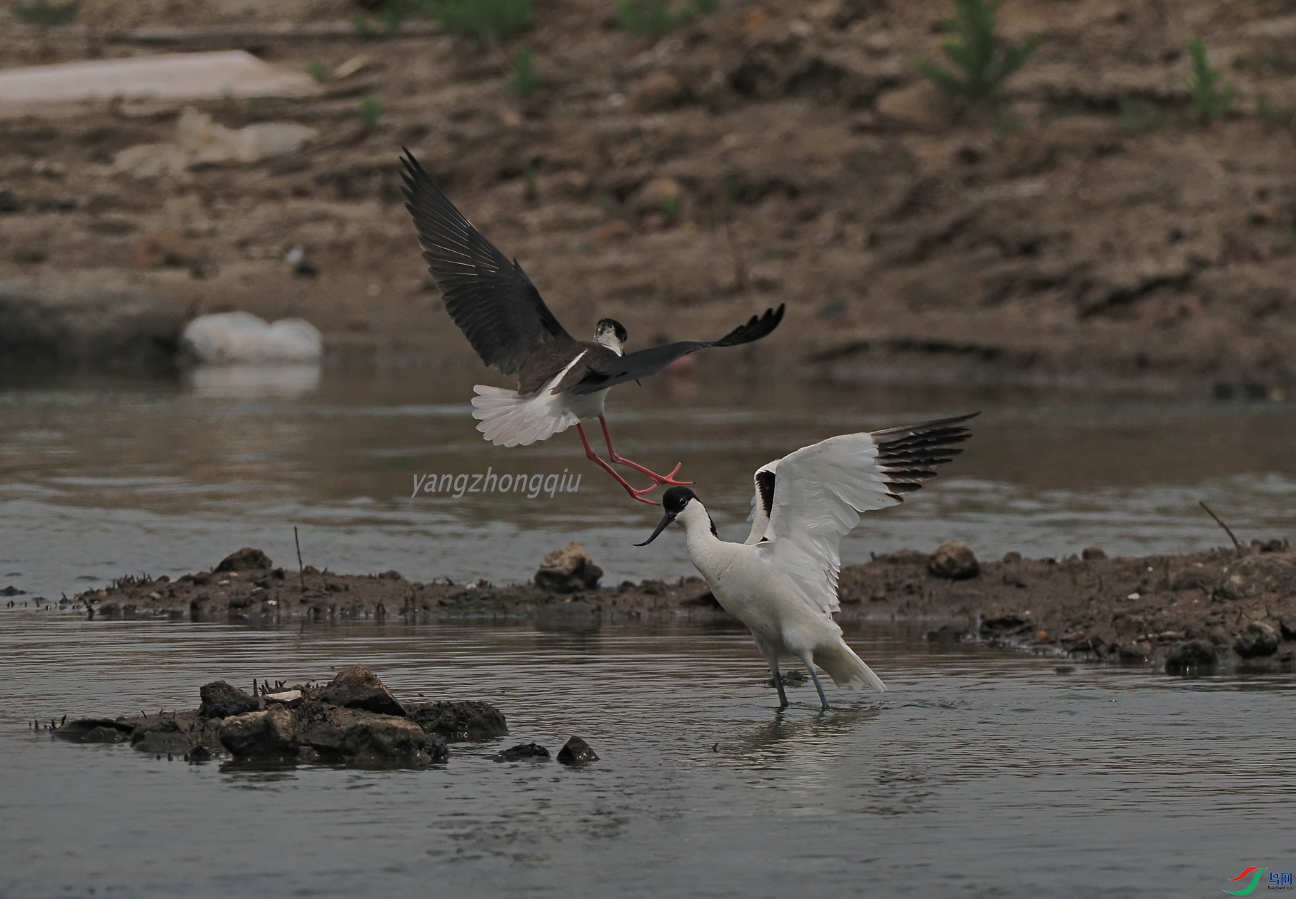 ��һ����Ϯ2