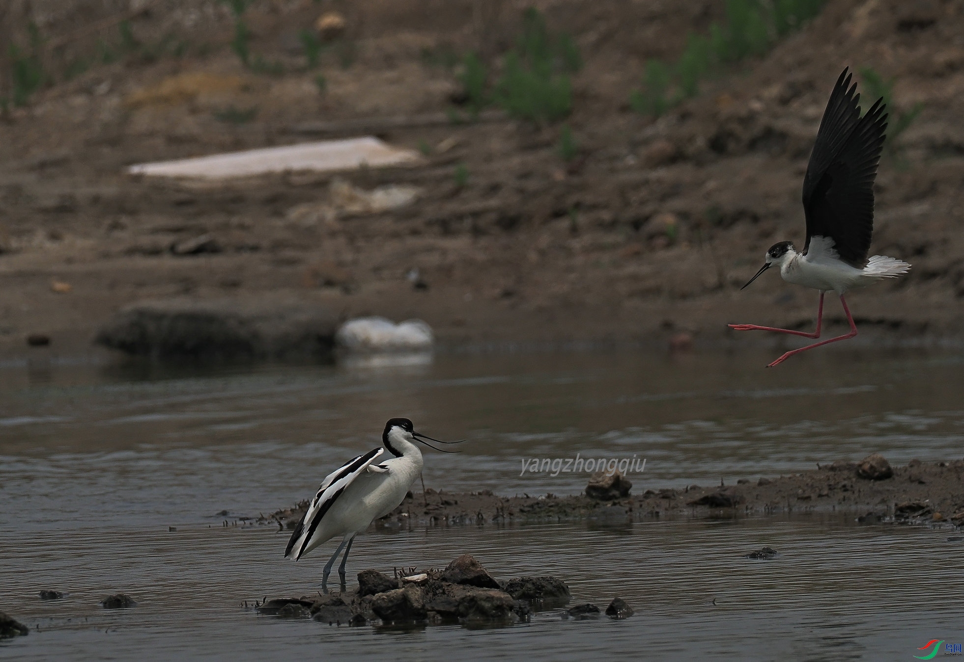 �ڶ�����Ϯ1