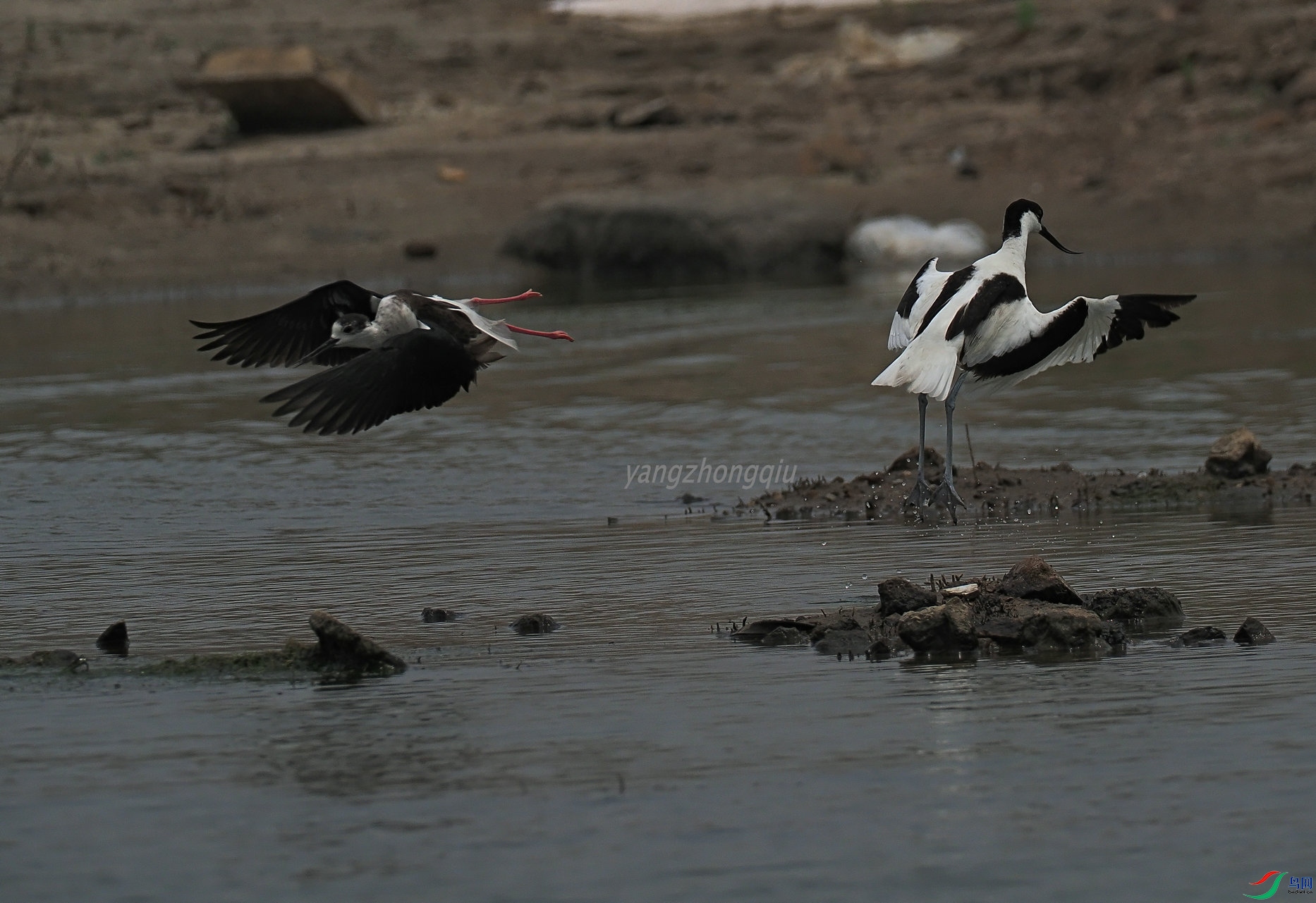 �ڶ�����Ϯ3