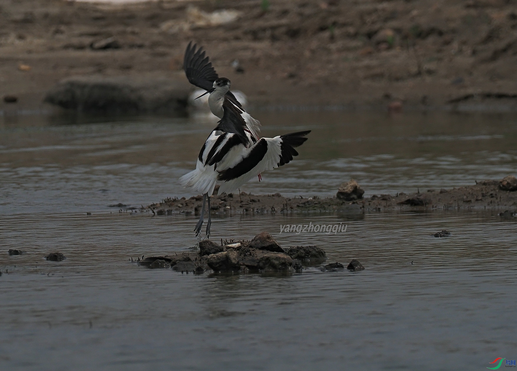 �ڶ�����Ϯ2