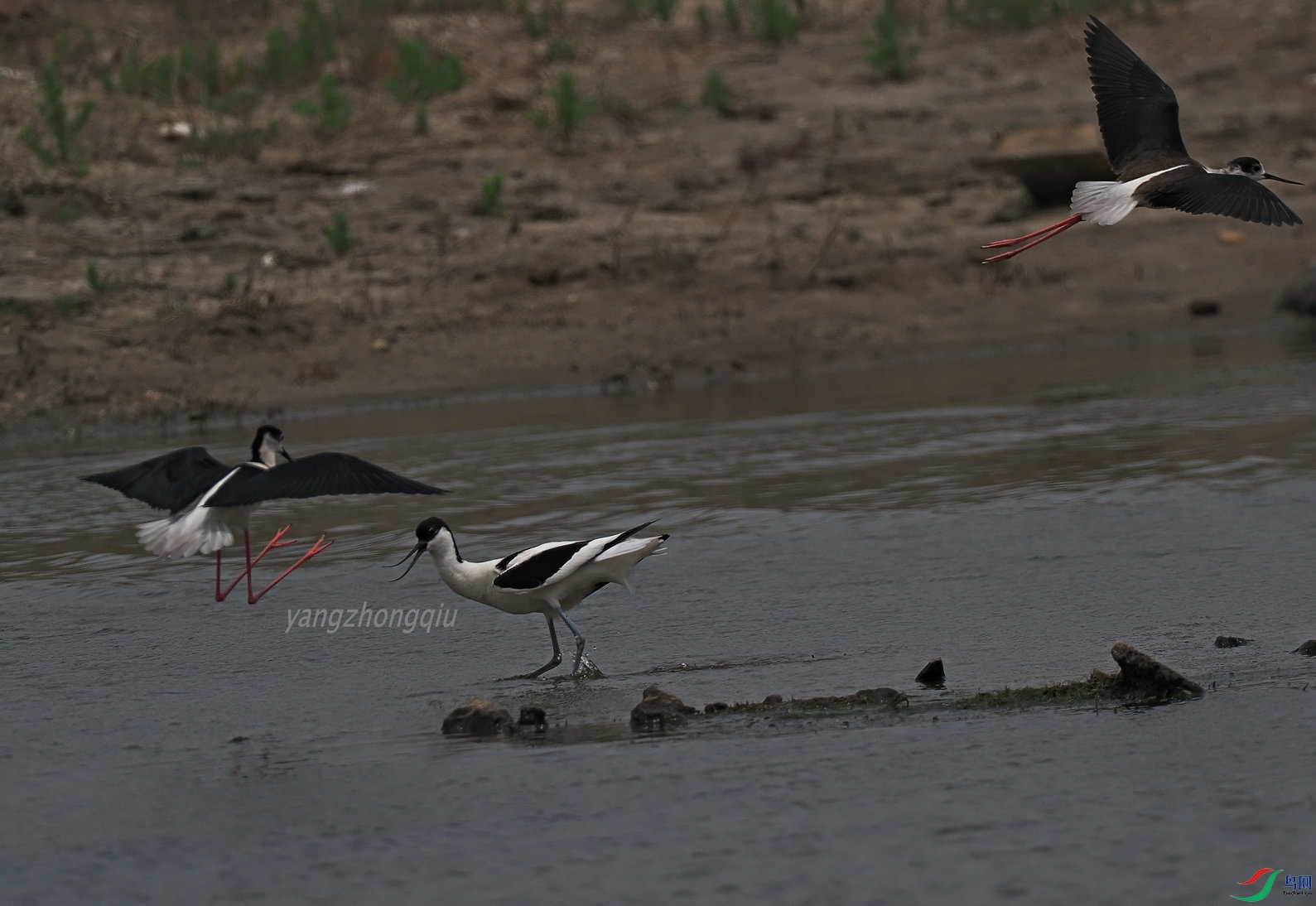 ��������Ϯ1