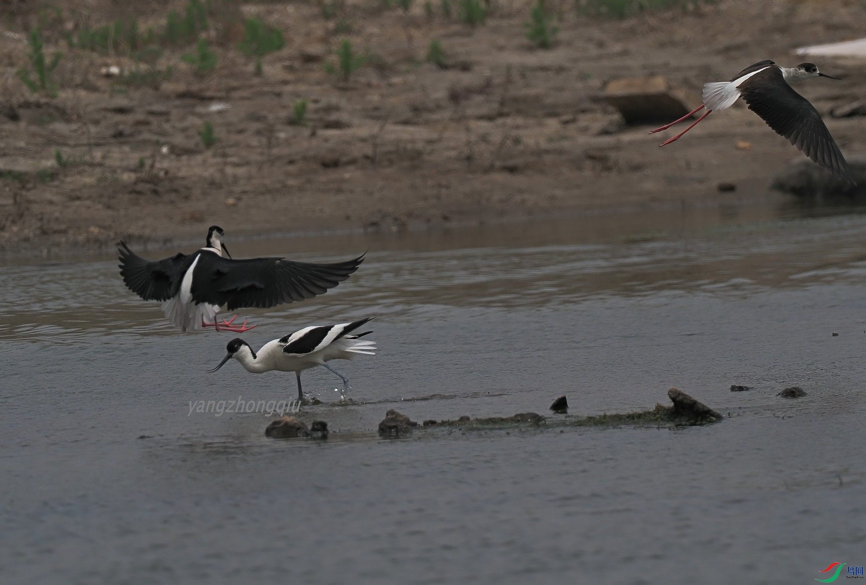 ��������Ϯ2