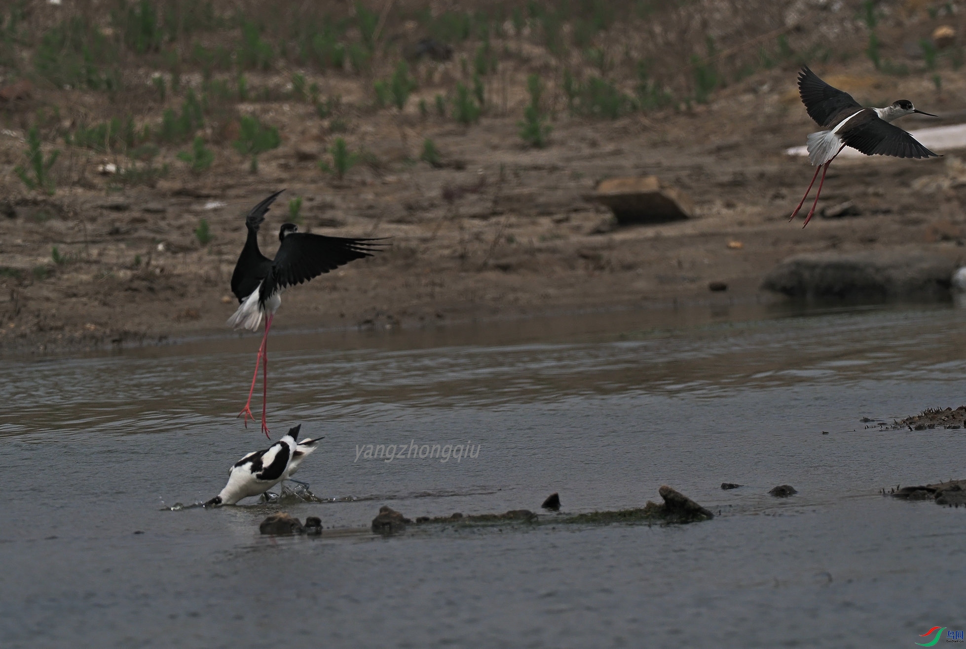 ��������Ϯ3