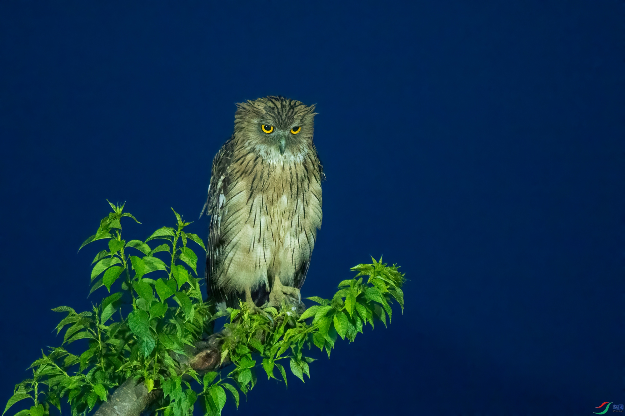 DSC_7851.jpg