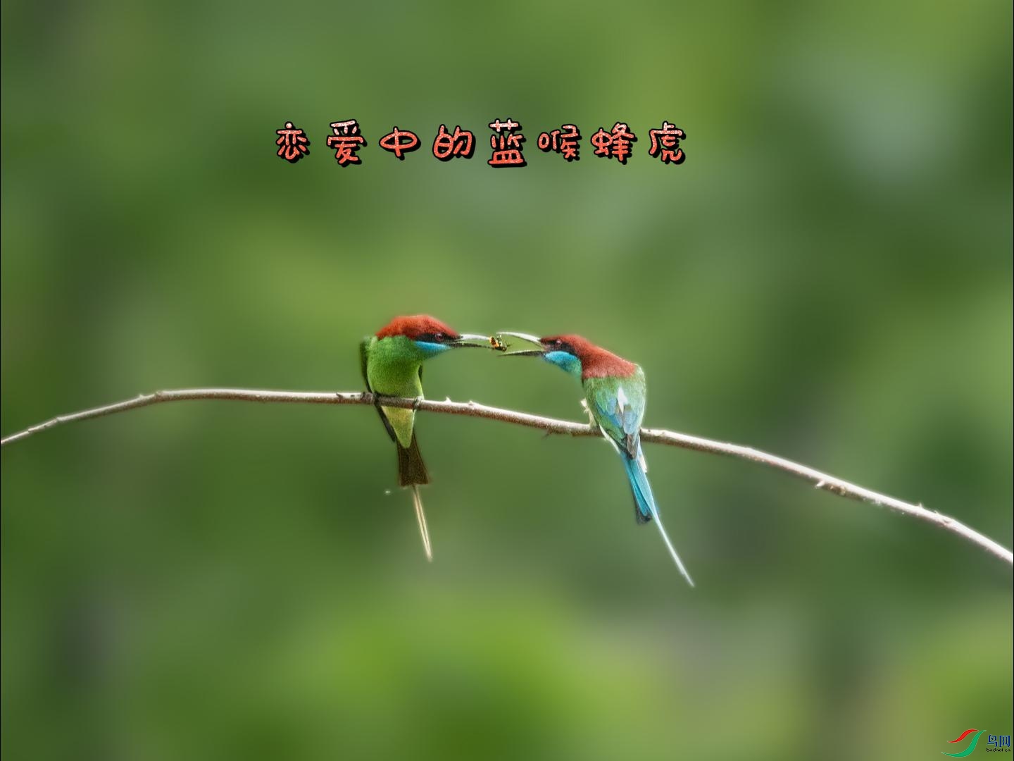 6��10��-����.jpg