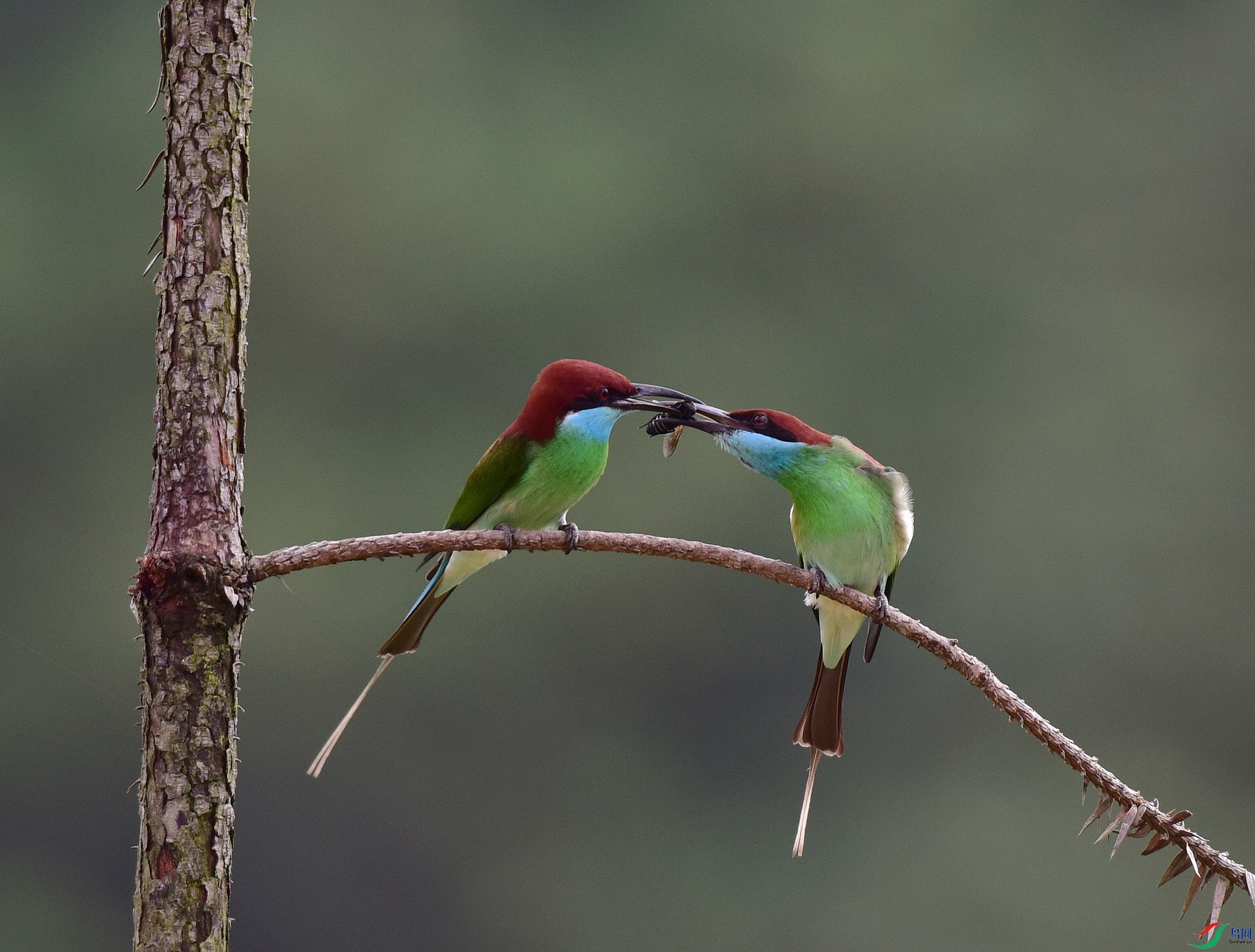 D8I_0602.jpg
