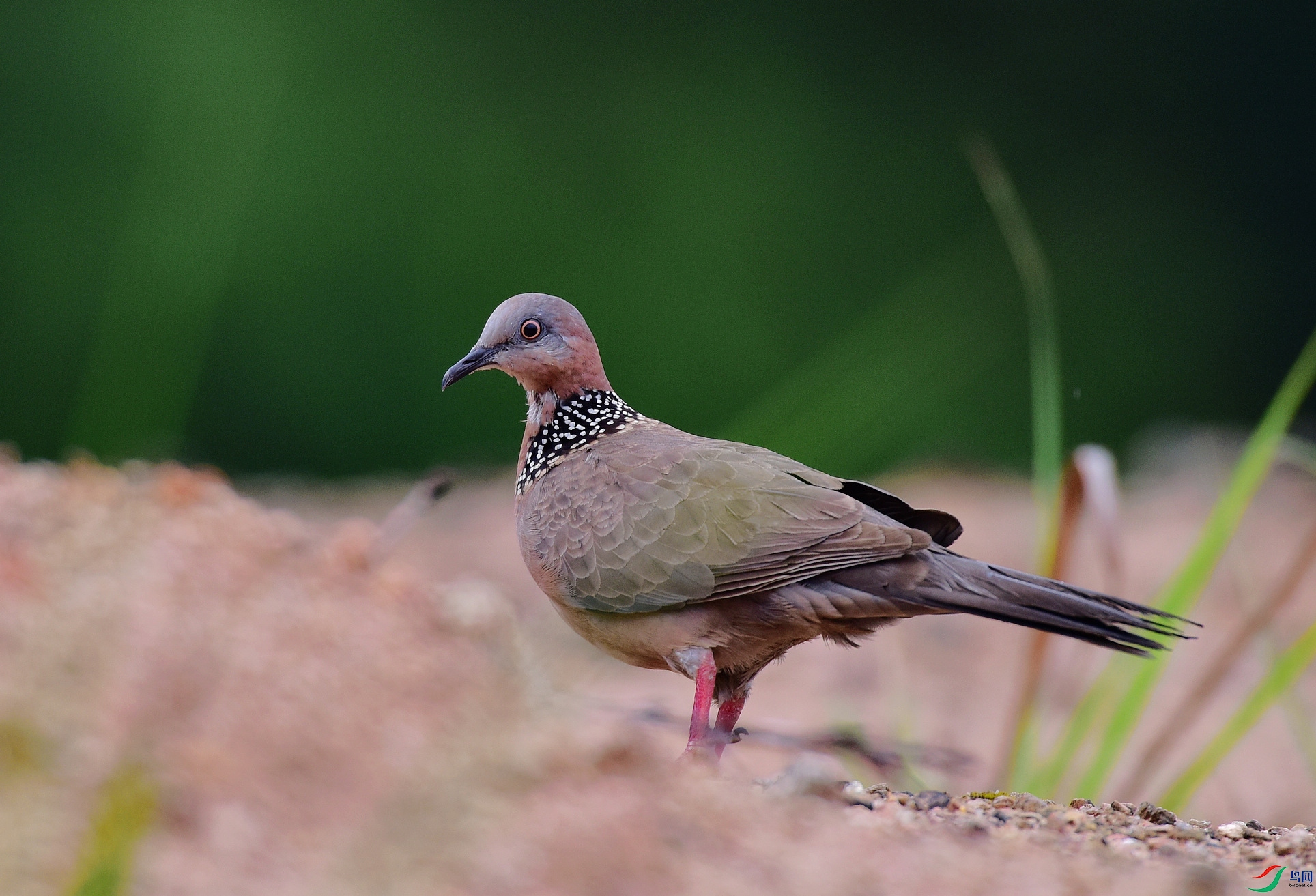D8I_2853.jpg