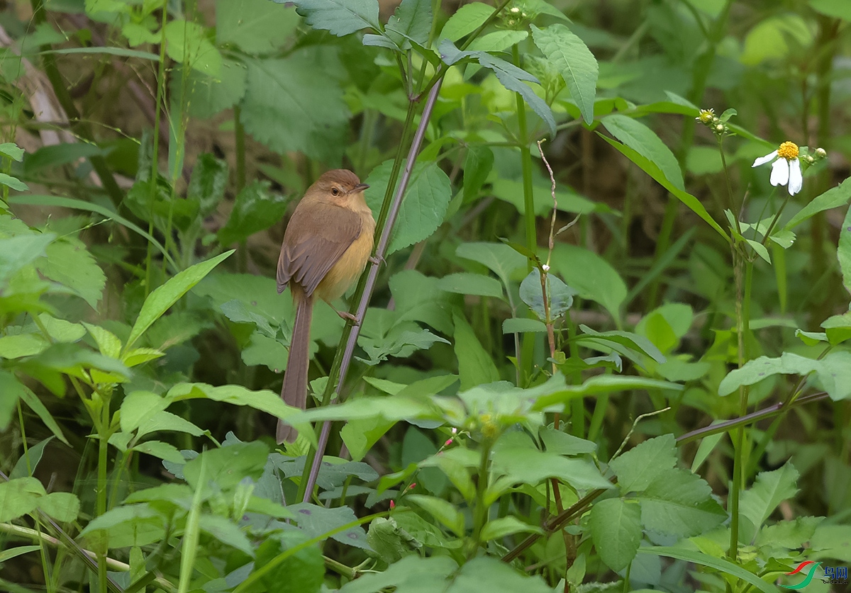 DSC_3856.JPG