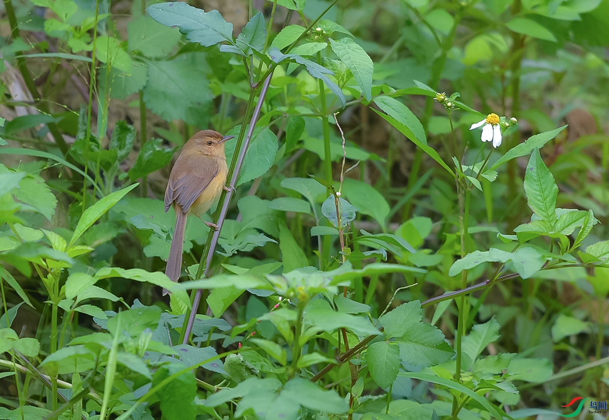 DSC_3858.JPG