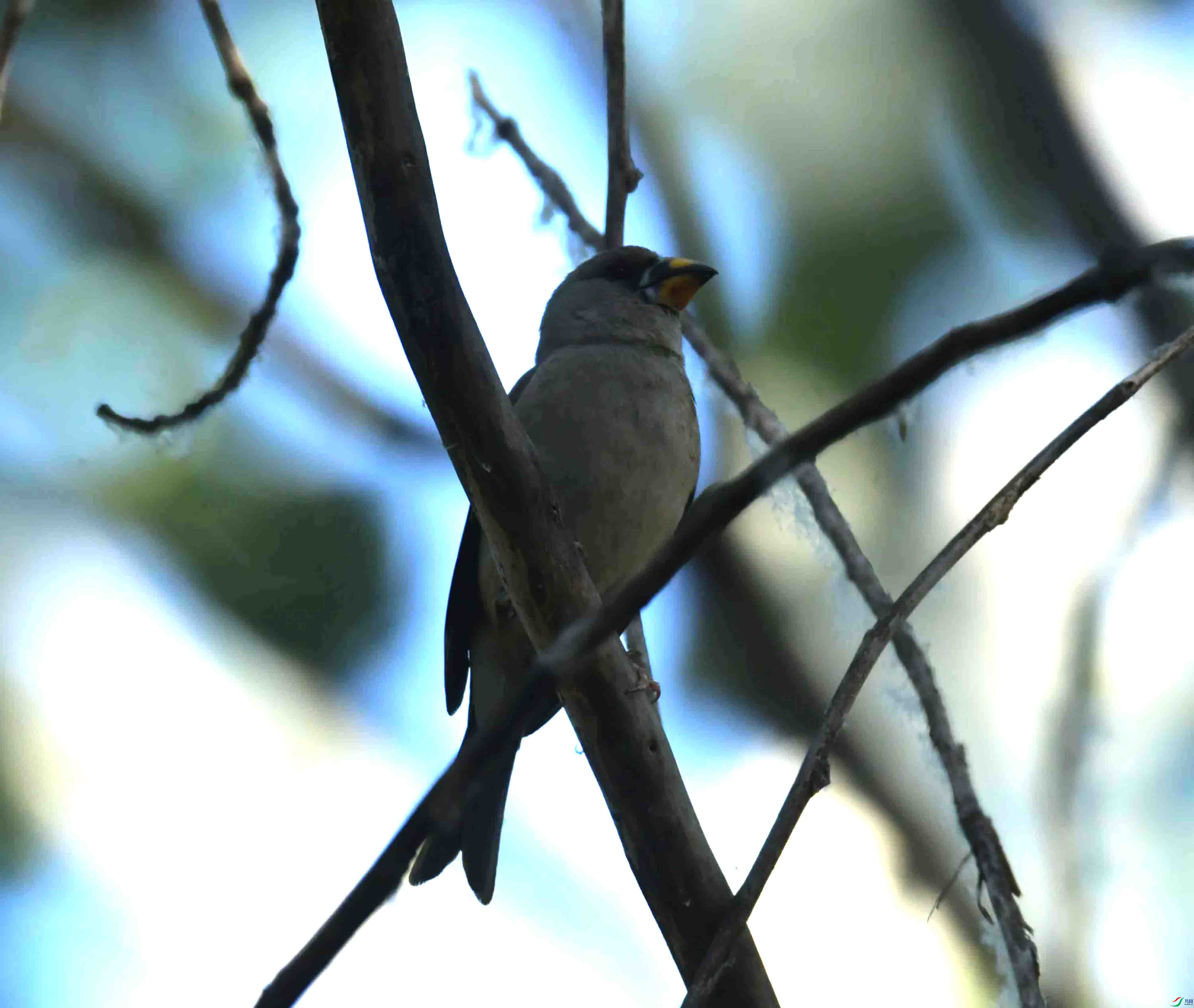 DSC_6633.JPG
