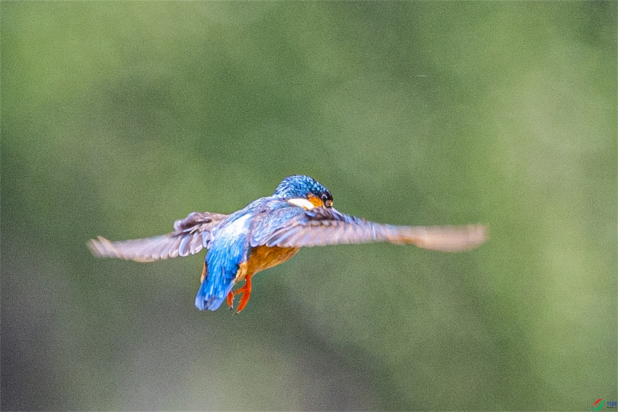 1K3A0846 ����1.jpg