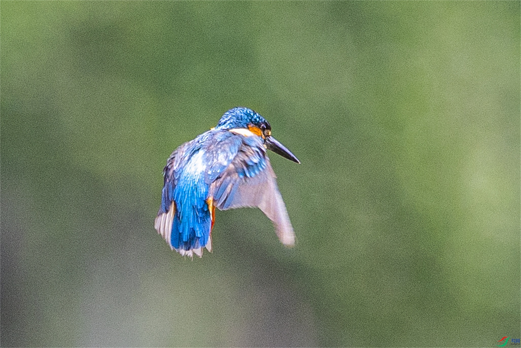 1K3A0844 ����1.jpg