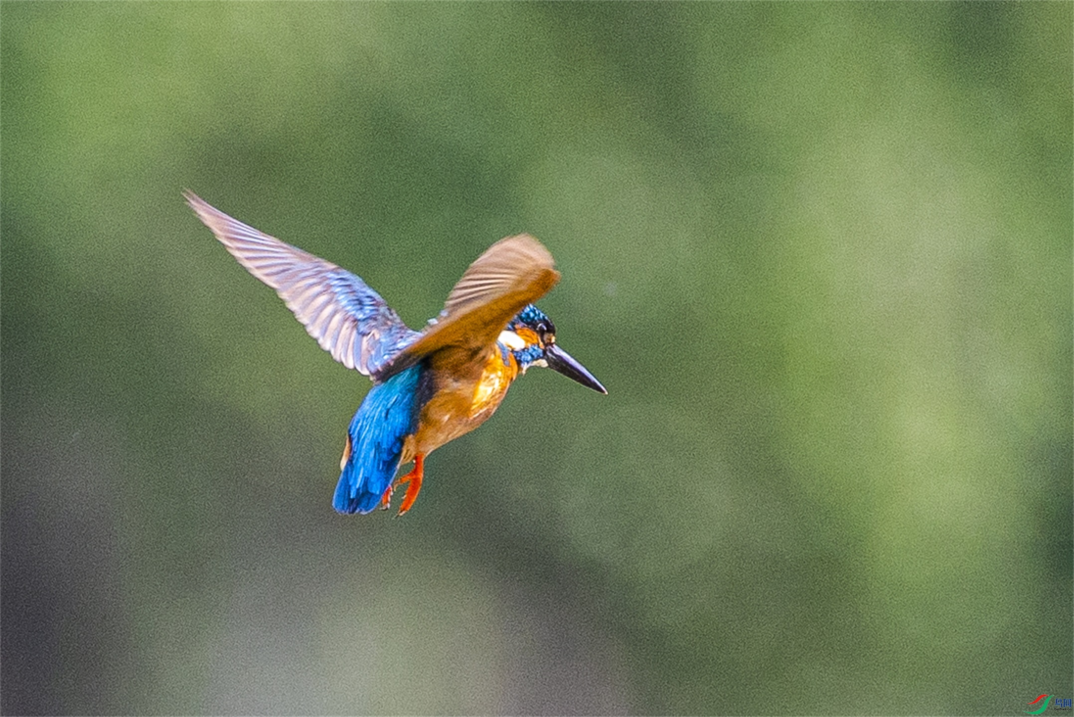 1K3A0848 ����1.jpg