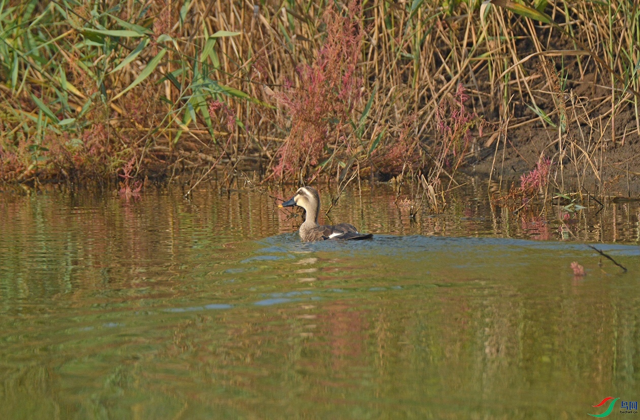 DSC_0297.jpg