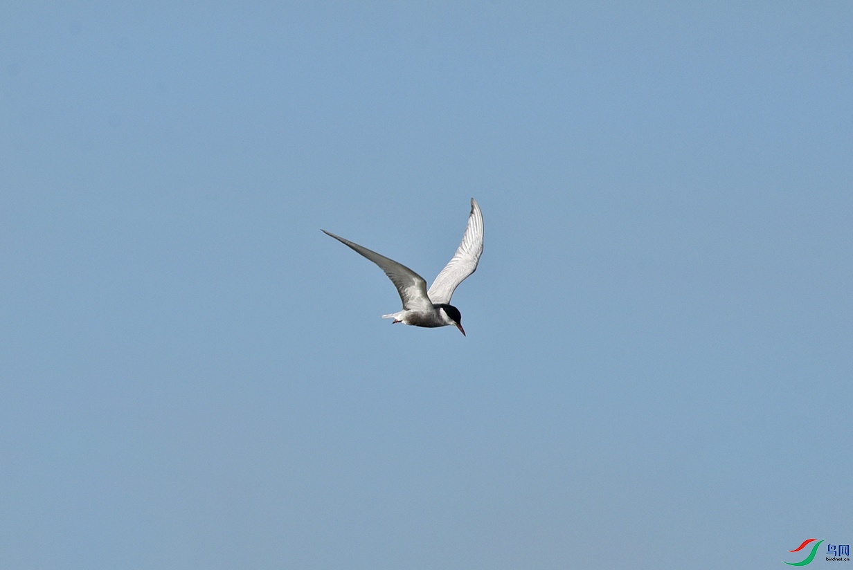 DSC_5082.jpg