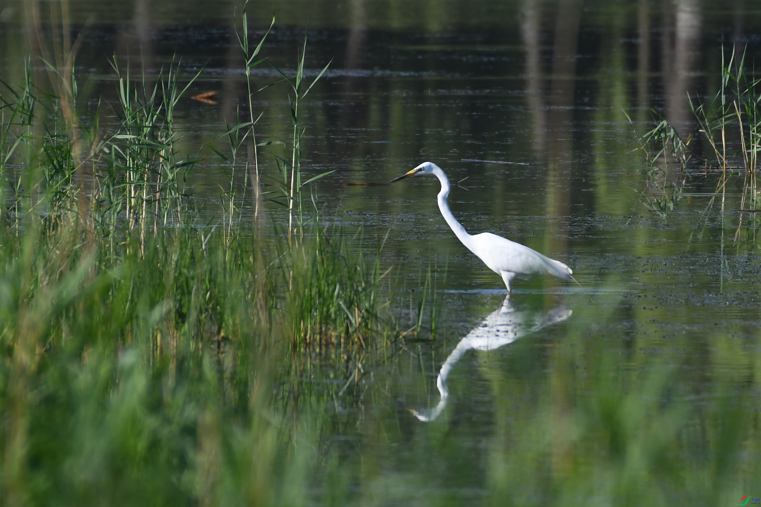 DSC_0881.JPG