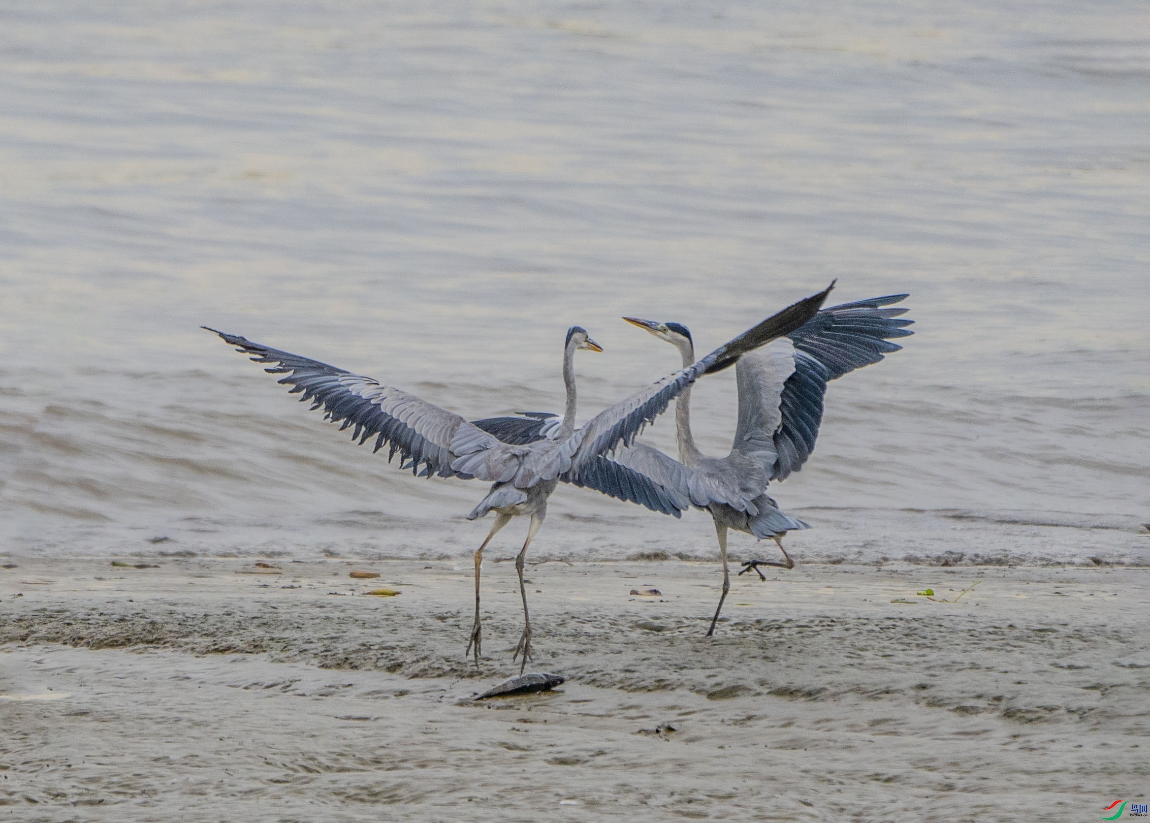_DSC1202-.jpg