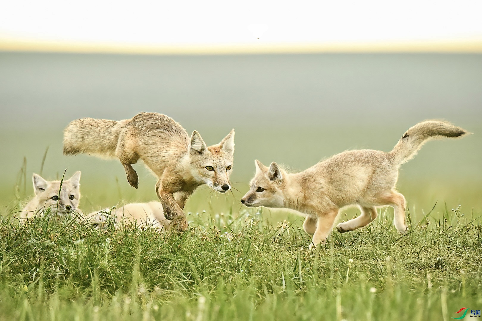 �����š� �춫 �� �Ϻ����������·1625��3��¥��¥ 201101 109011581@qq.com.jpg