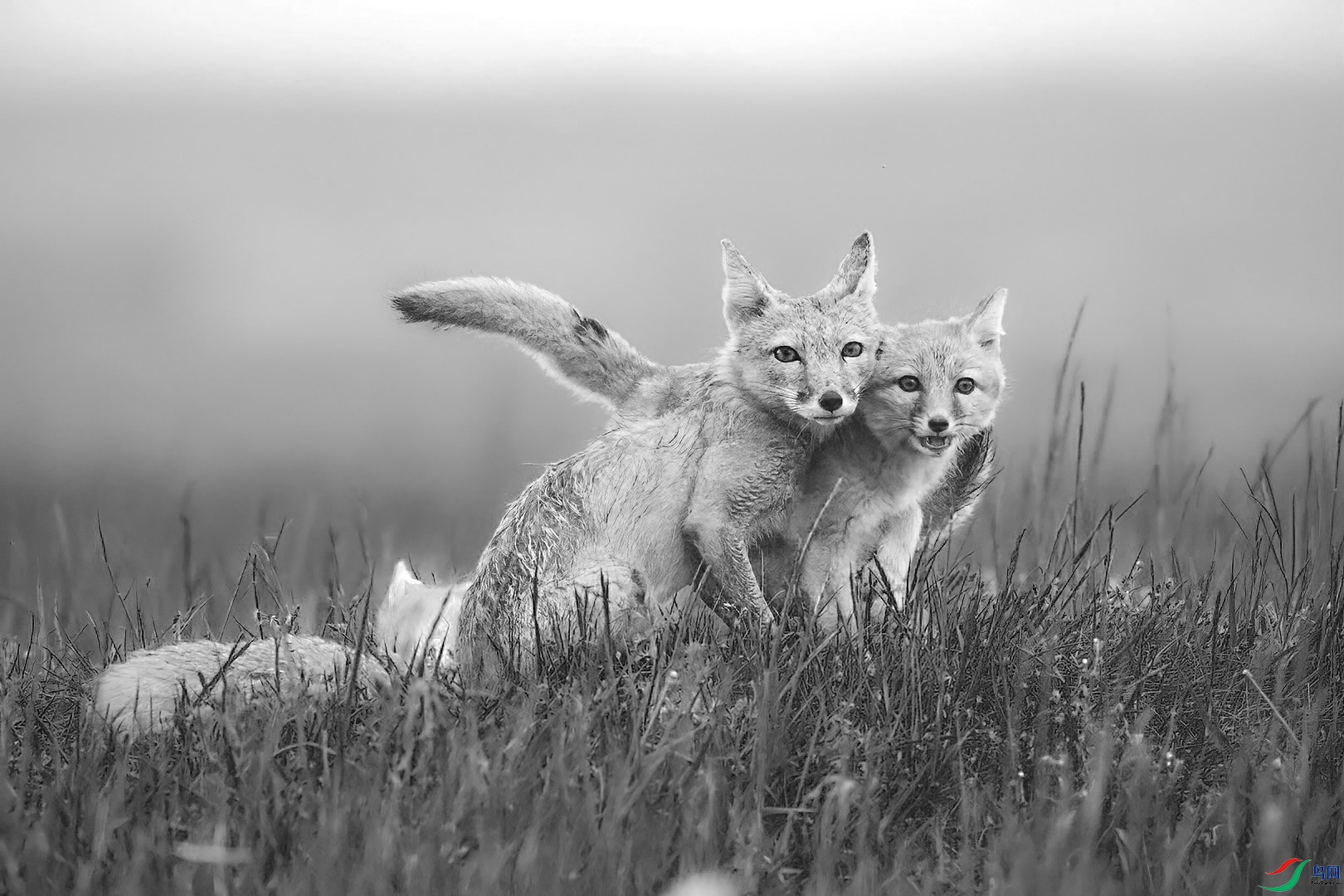 ��ĸ���ס� �춫 �� �Ϻ����������·1625��3��¥��¥ 201101 109011581@qq.com.jpg