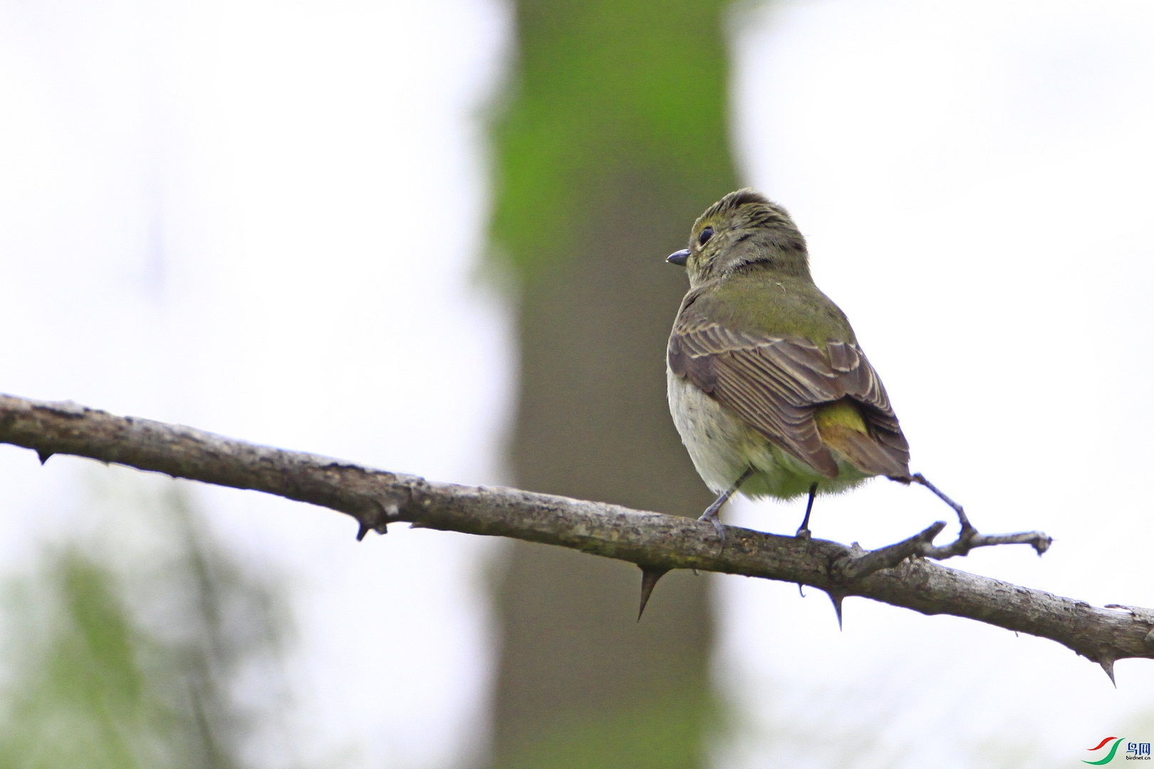 ʲô���l�� _MG_9784.JPG