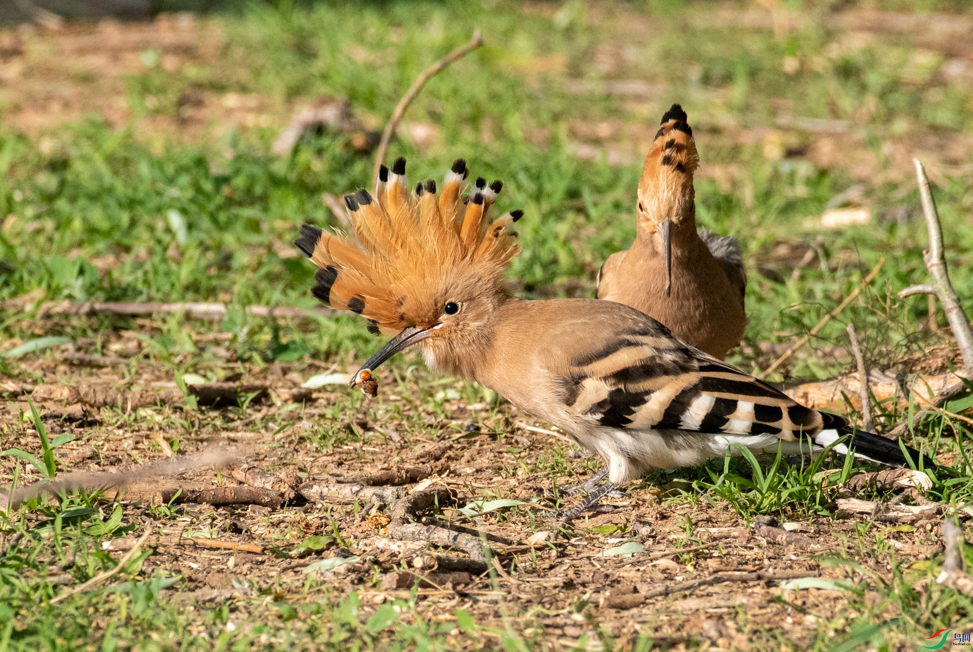 DSC_7883.jpg