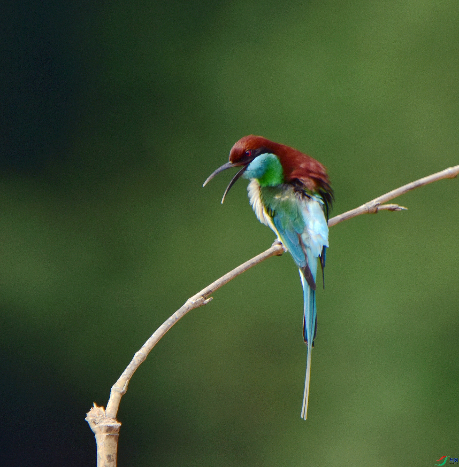 D8I_5670.jpg