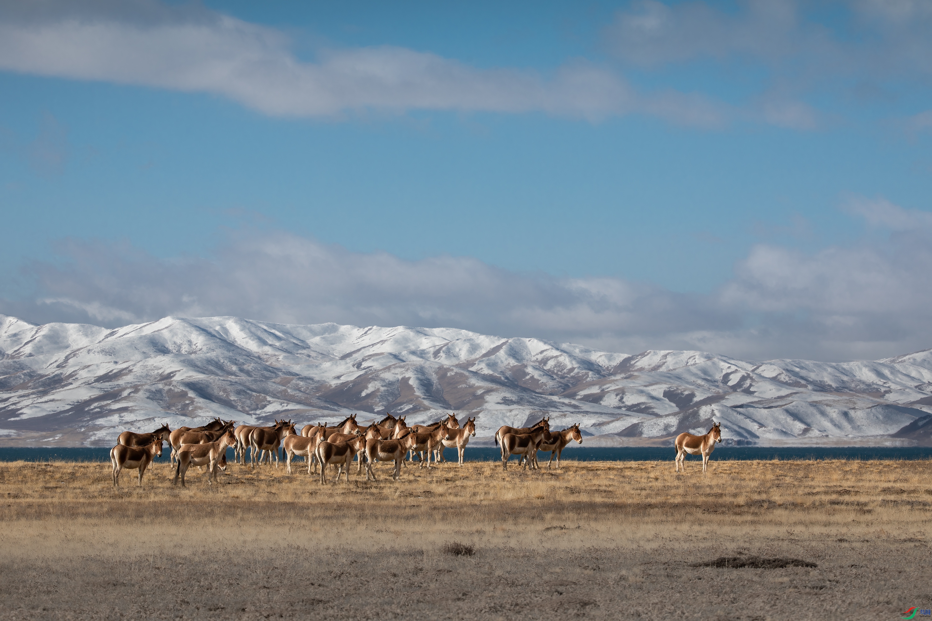 3S5A8639 ����.jpg