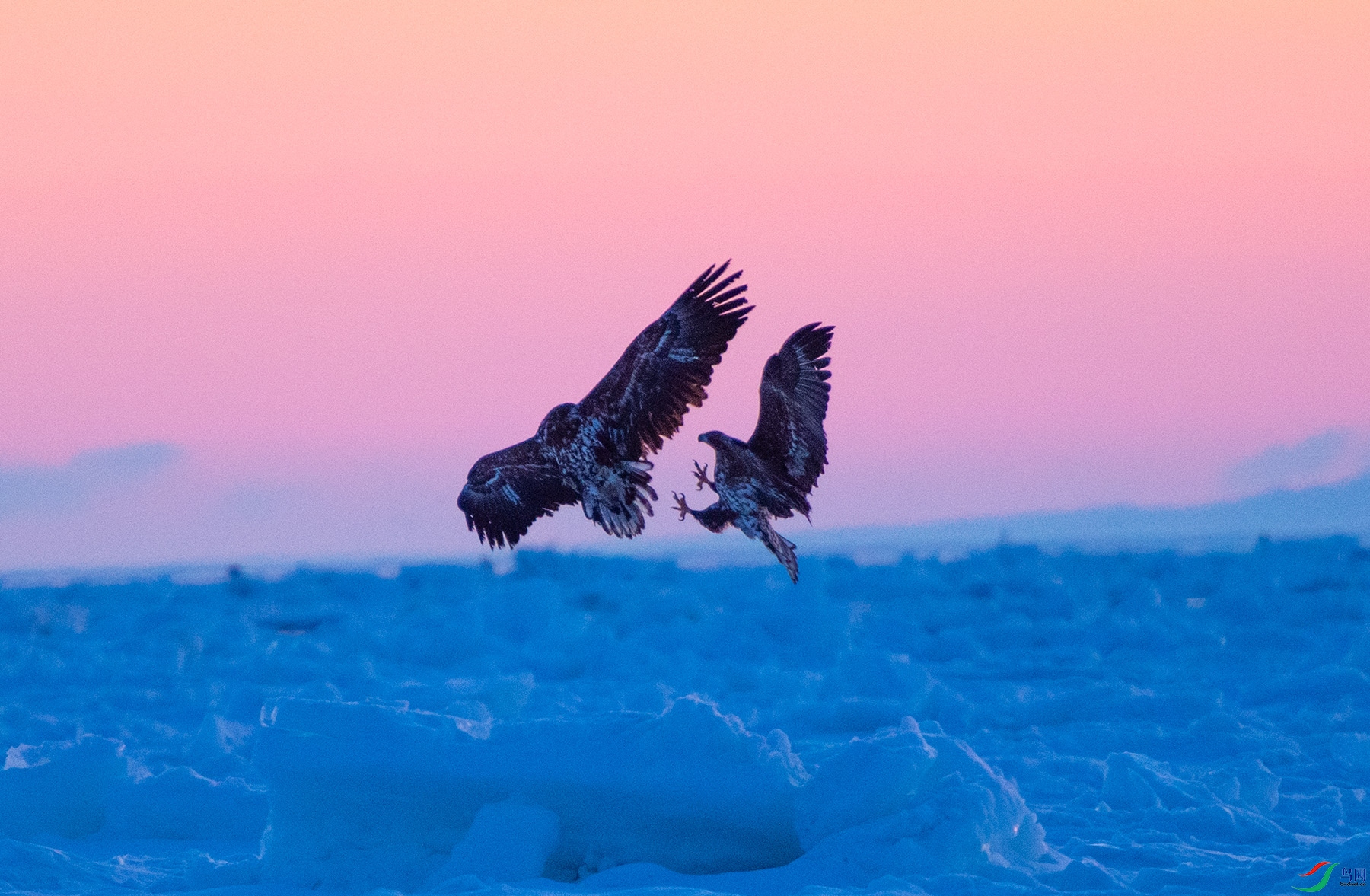 ��DSC_0915.jpg