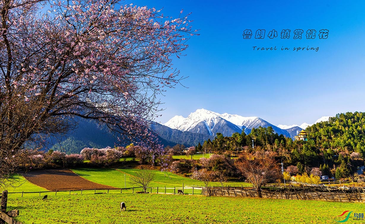 ³��С�����һ�