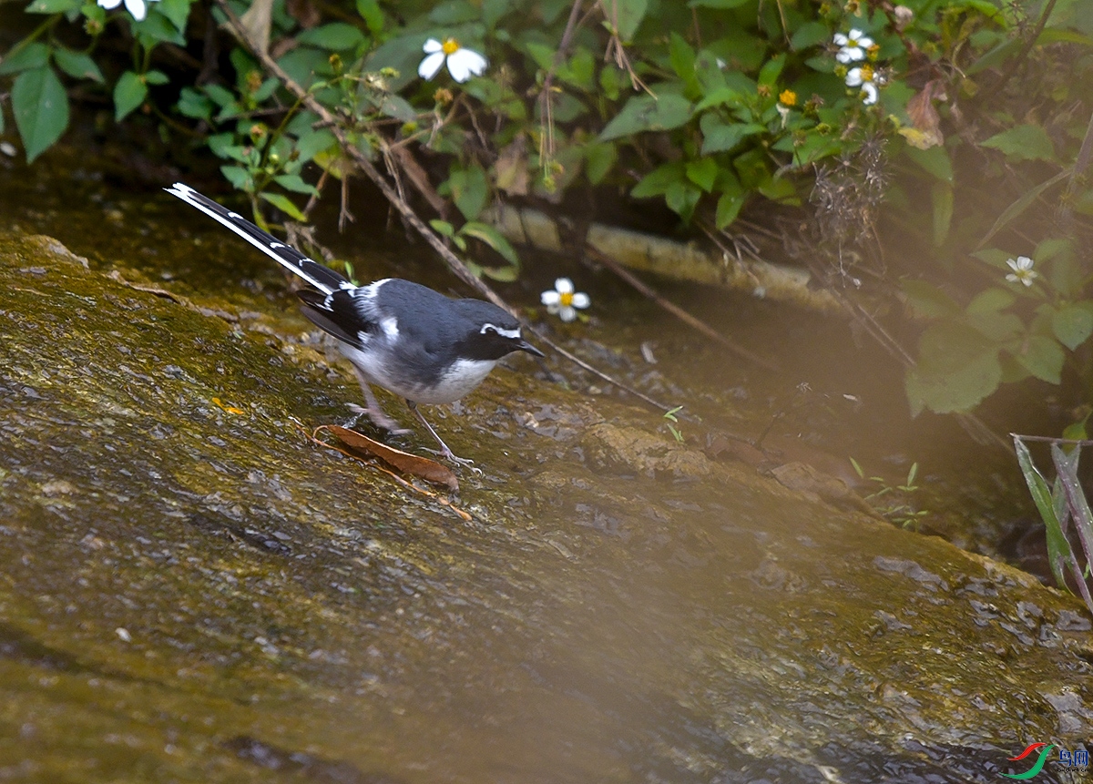 DSC_4718.JPG