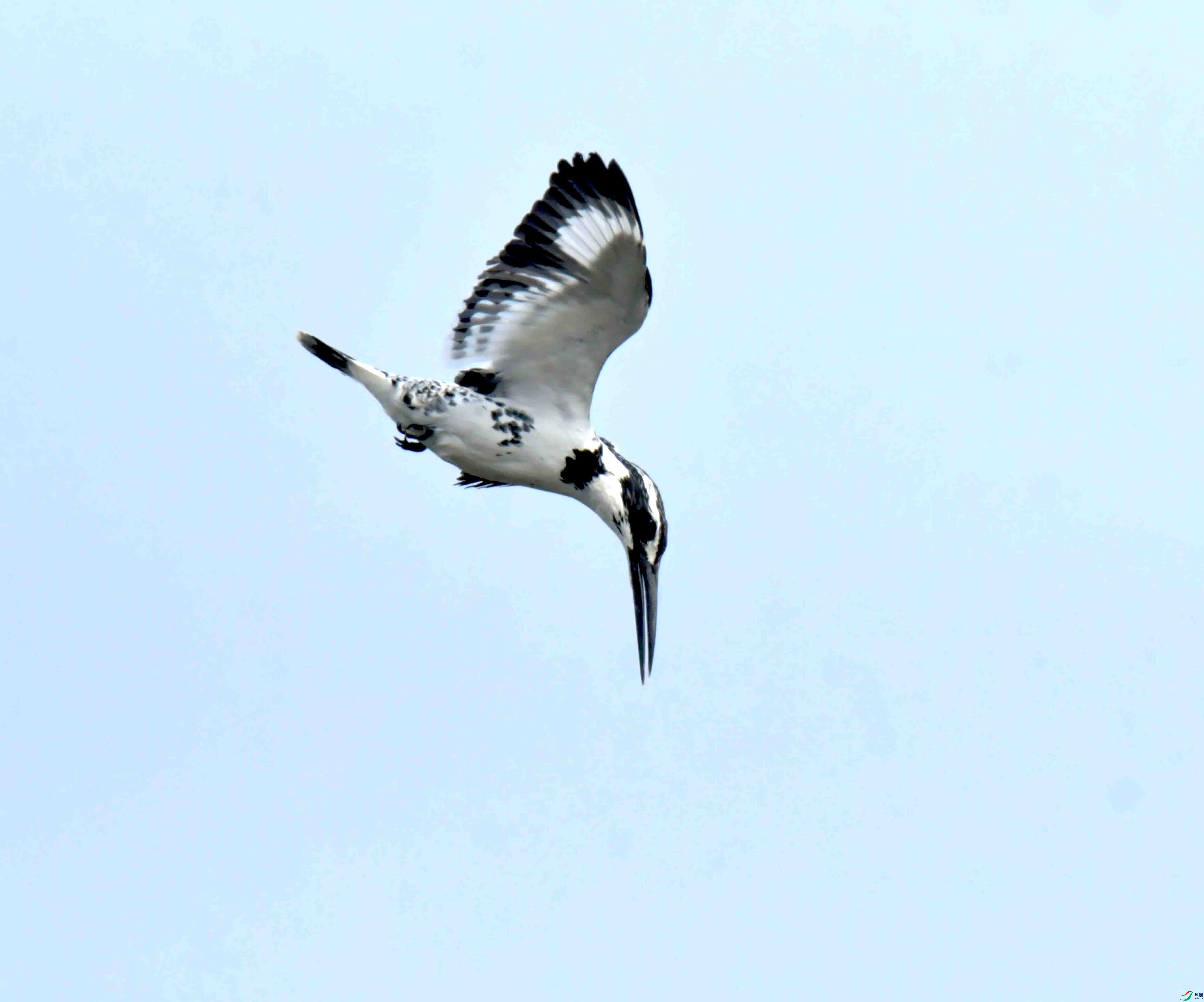 DSC_0838.JPG