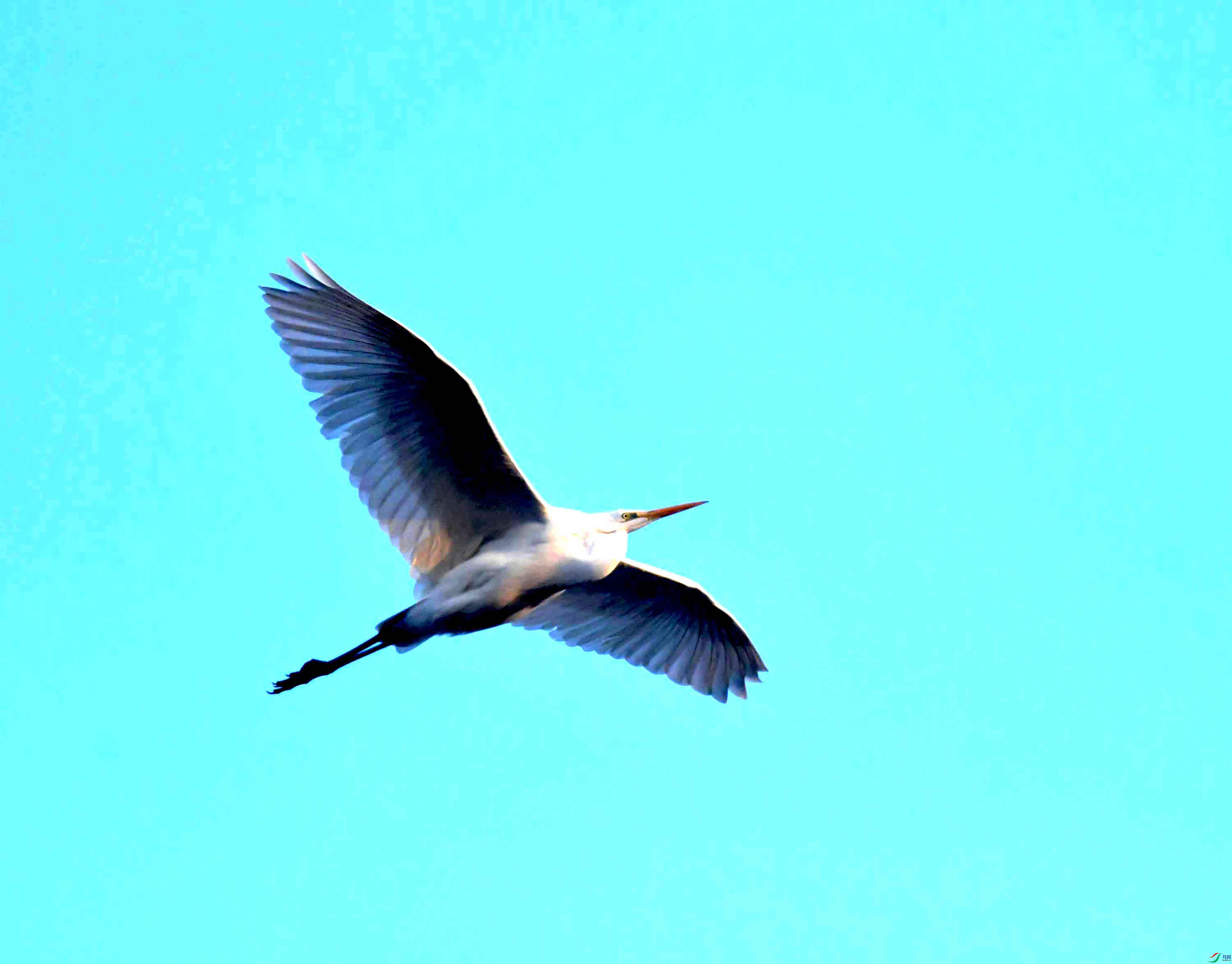 DSC_3106.JPG