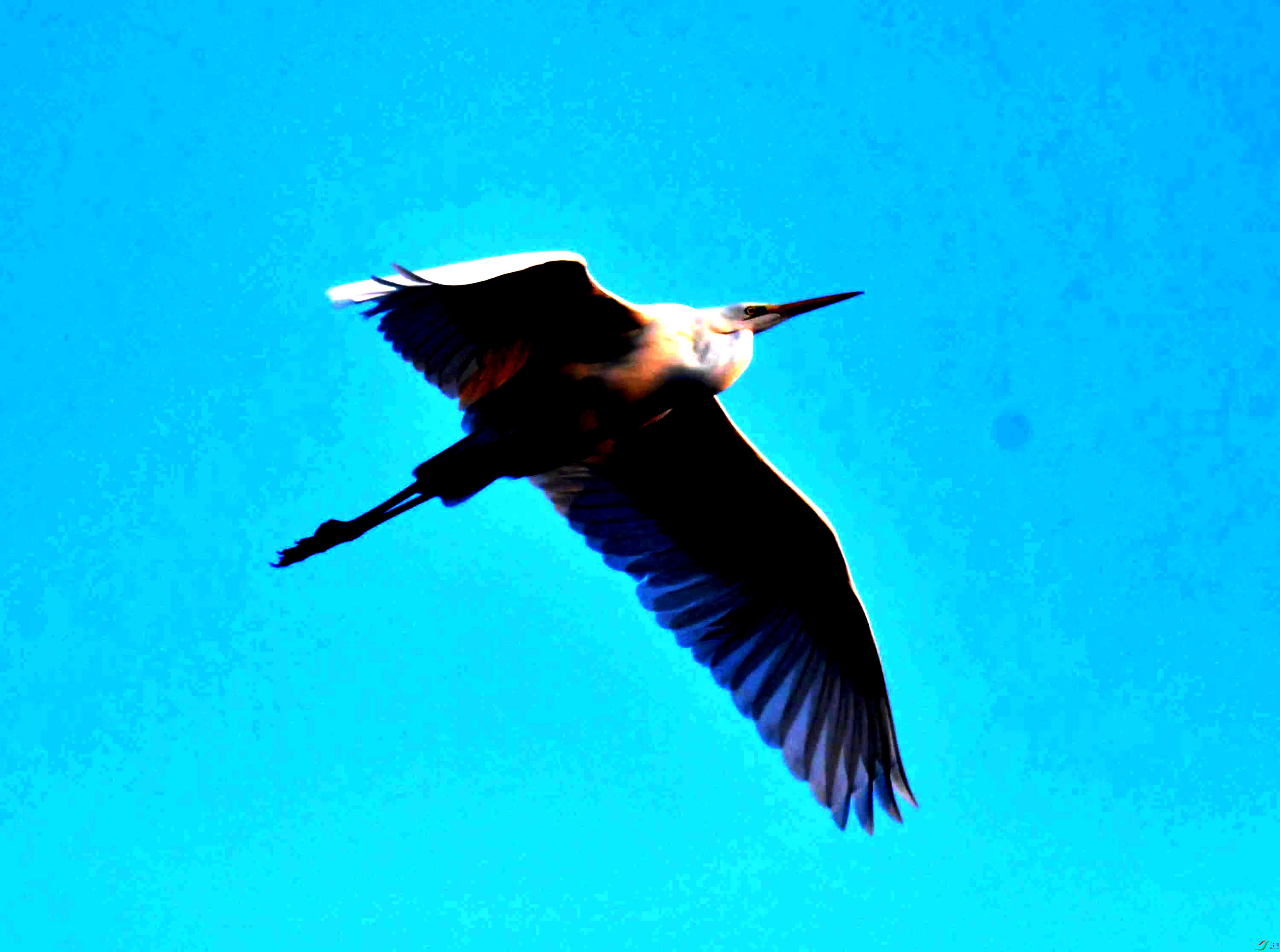 DSC_3107.JPG