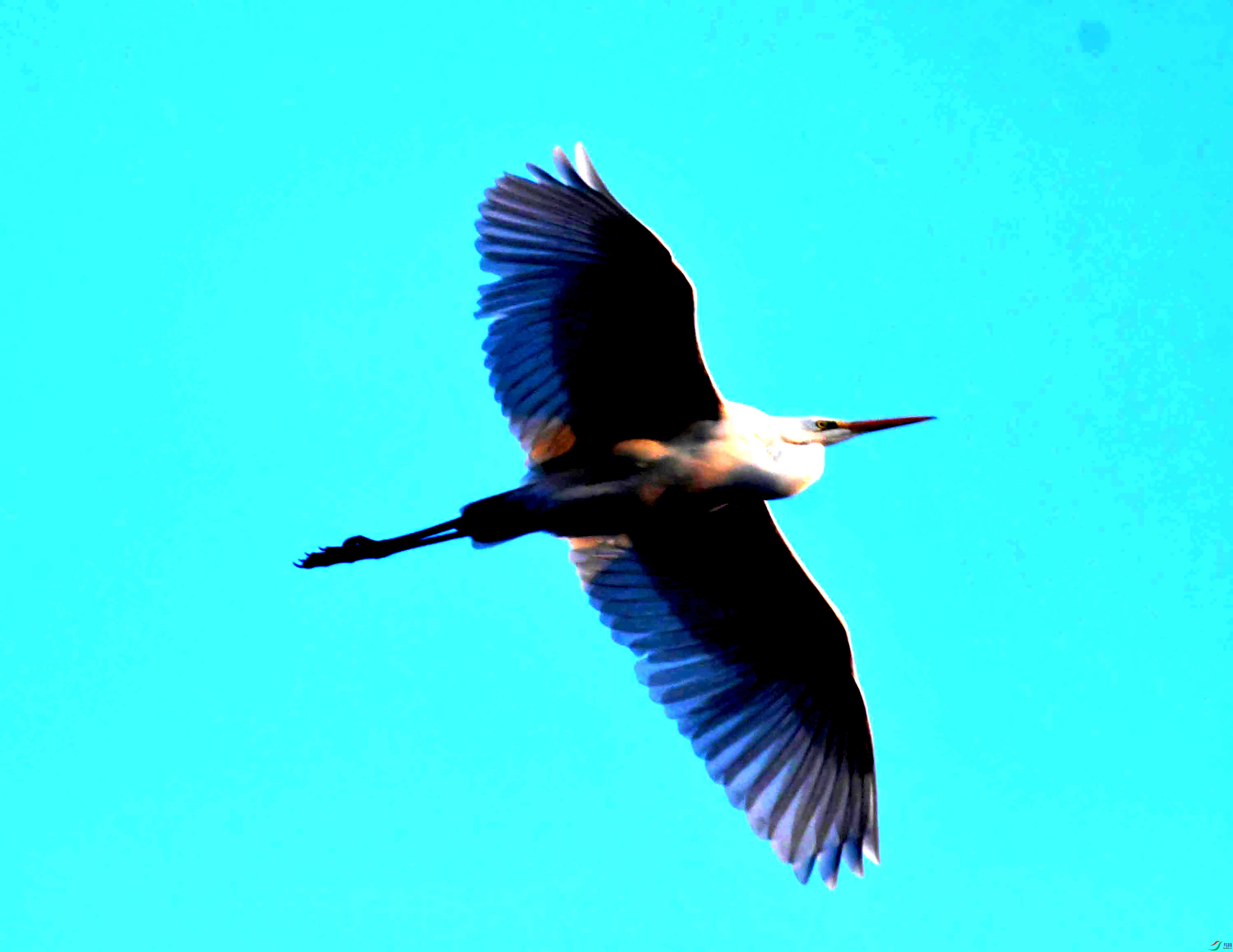 DSC_3108.JPG
