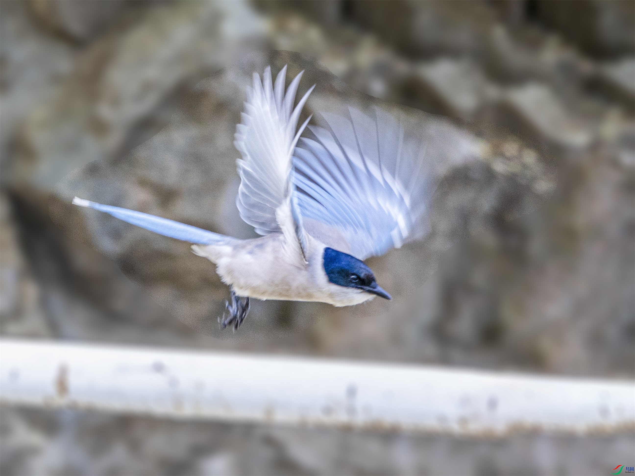 1K3A9912 ����1.jpg