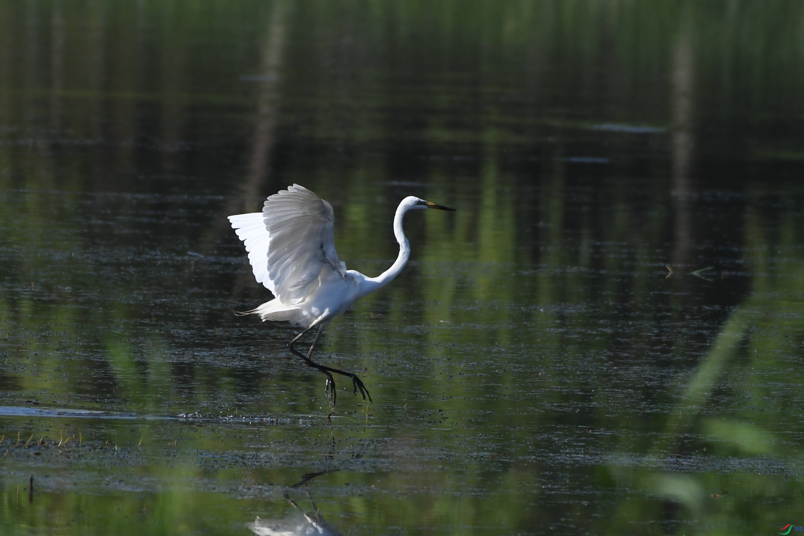 DSC_0902.JPG