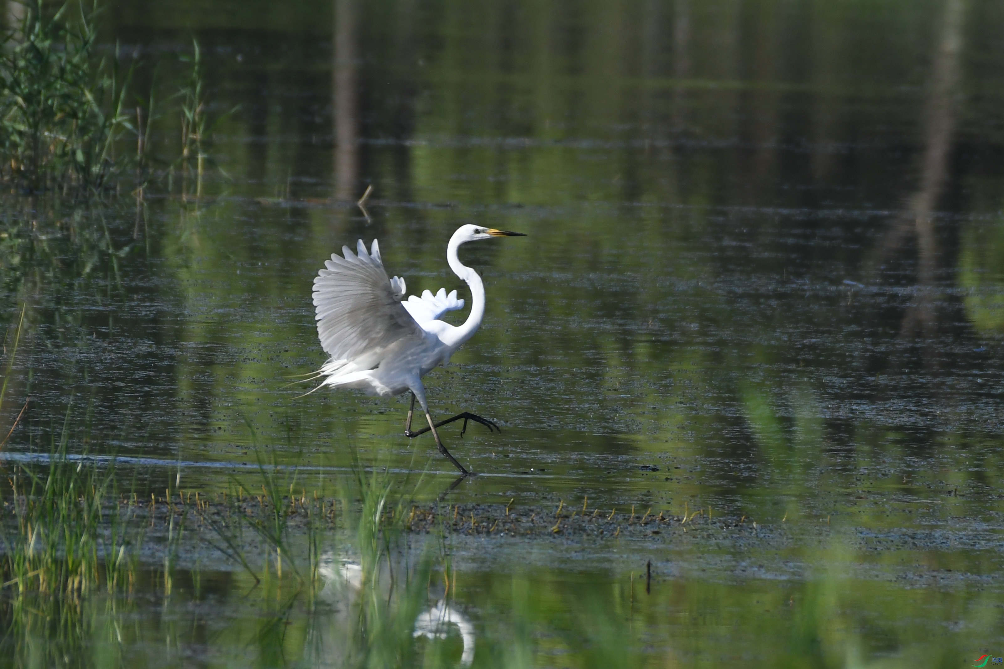 DSC_0895.JPG