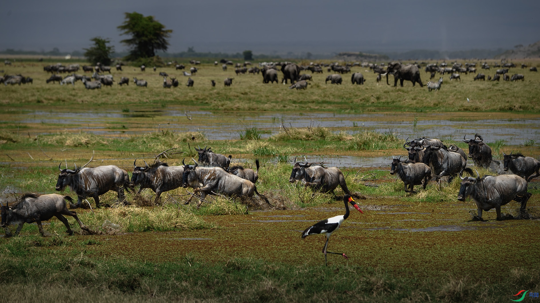 �����ڿ����ǰ���������