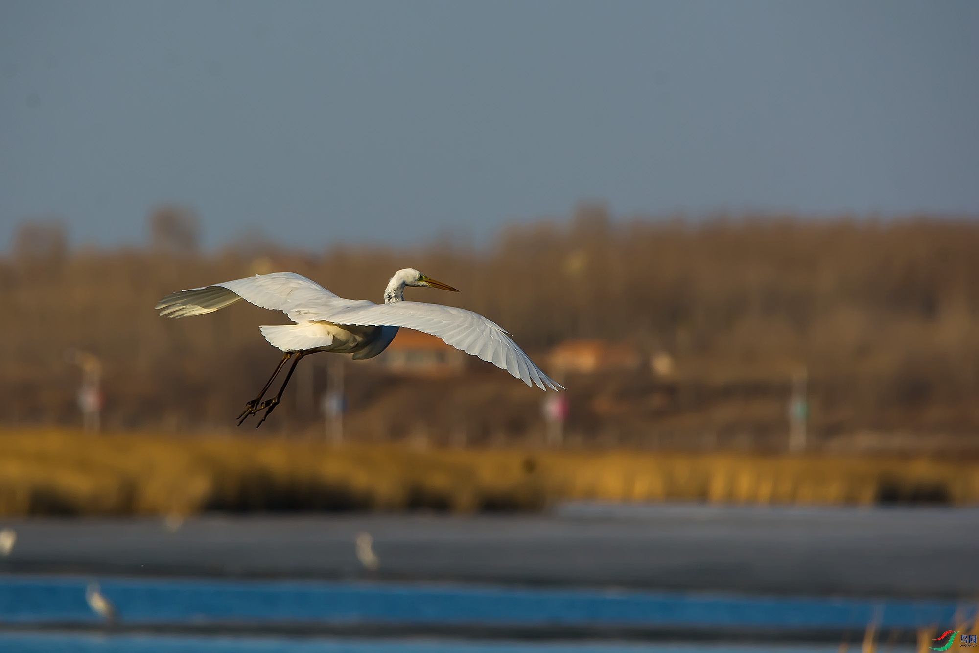 hn2018.03.27DSC_8937.jpg