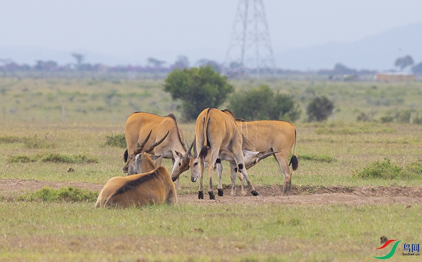 ��ǰ��� (2).jpg