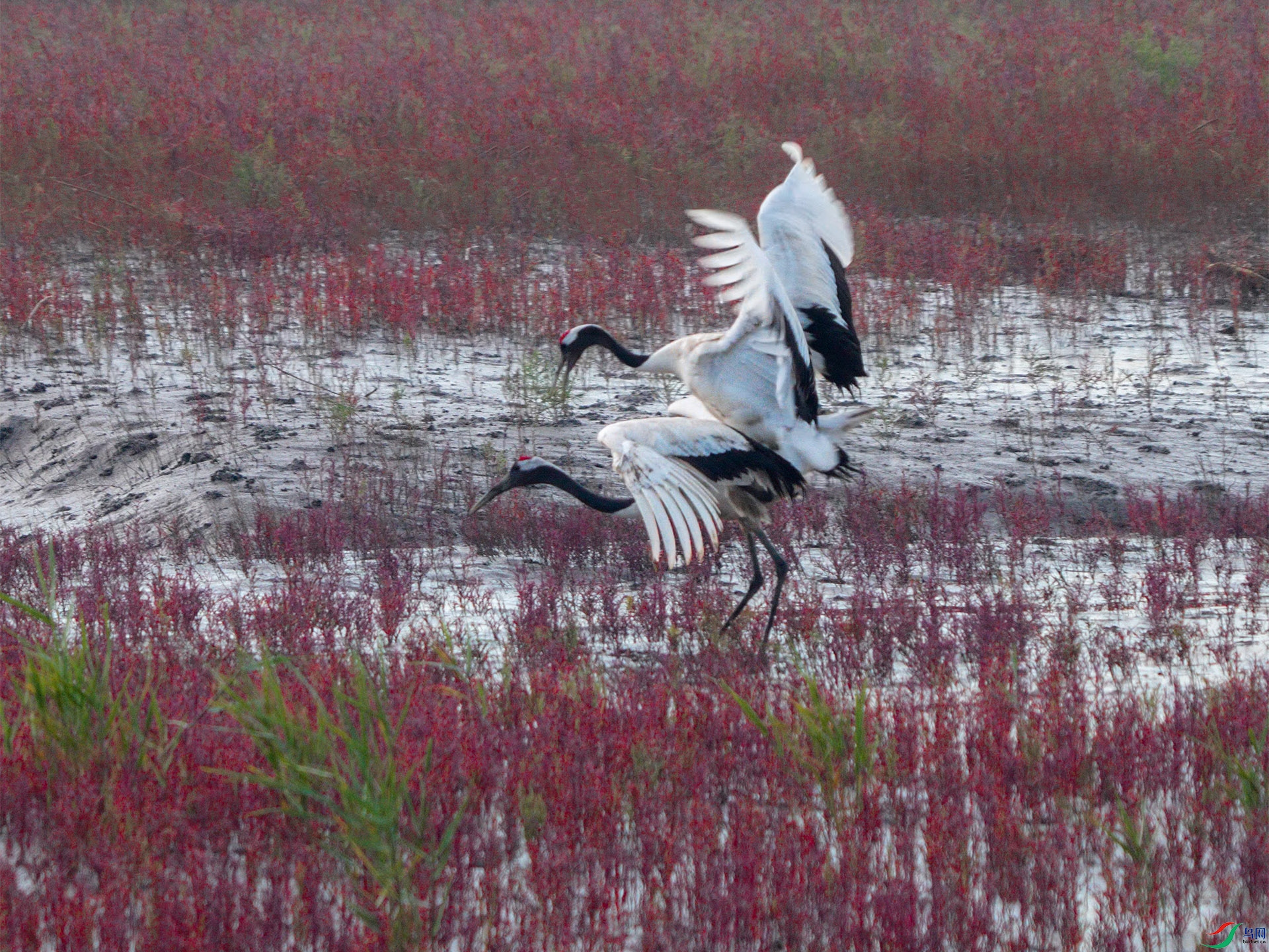 6��11��(5) ����.jpg