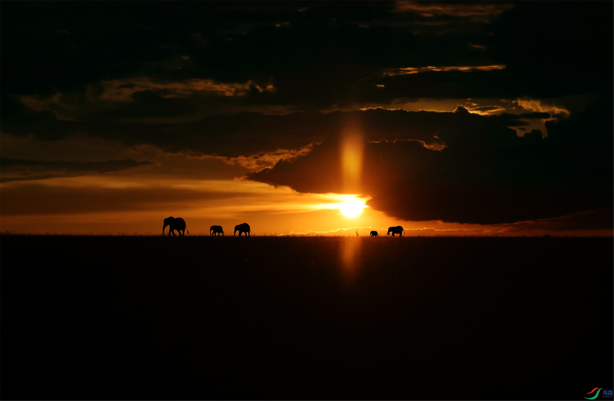 ���������Ļƻ�ʱ�� ����.jpg