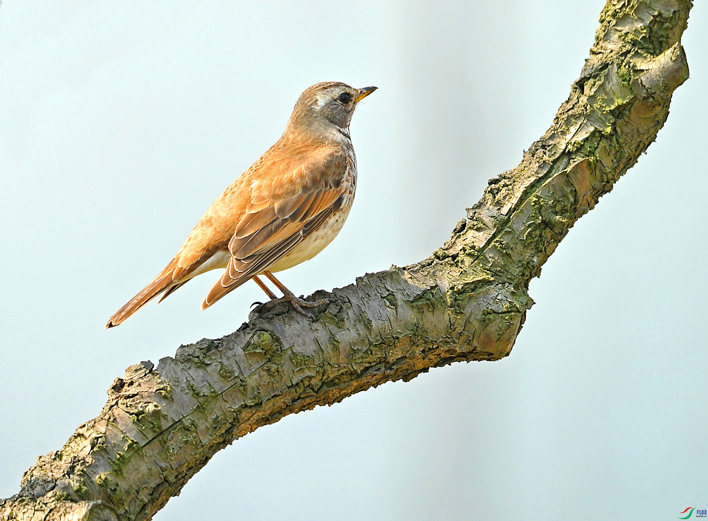 DSC_7364.jpg