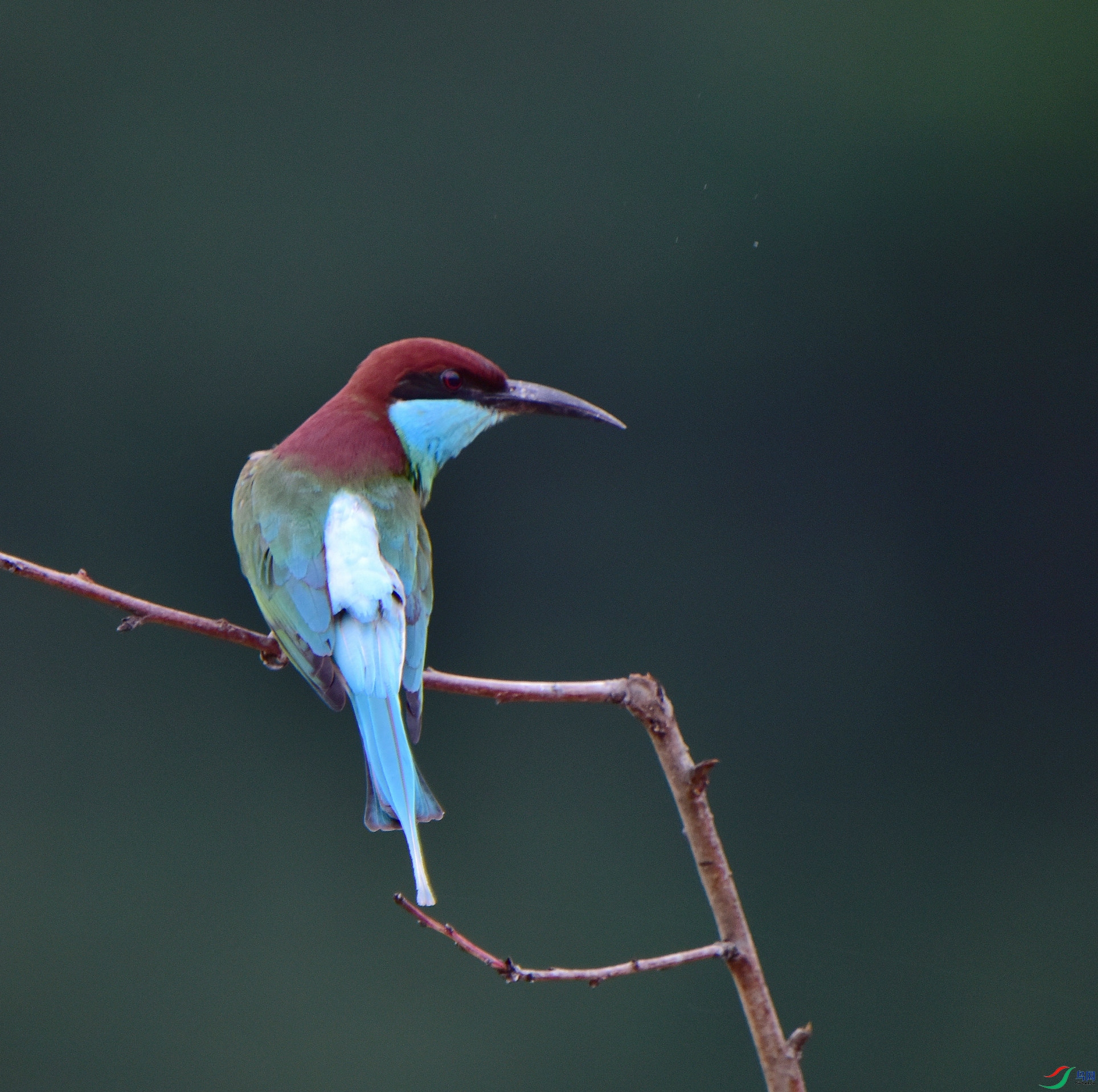 D8I_6292.jpg
