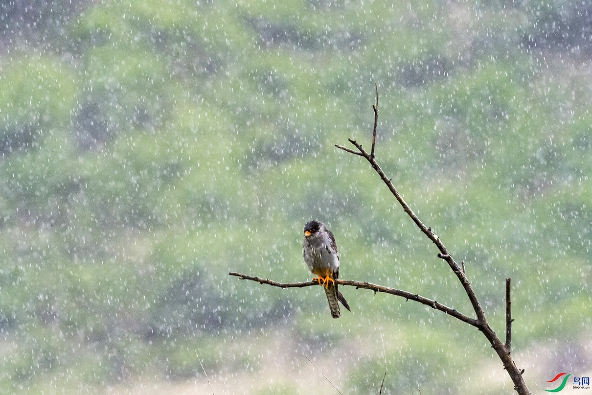 DSC_0253.jpg