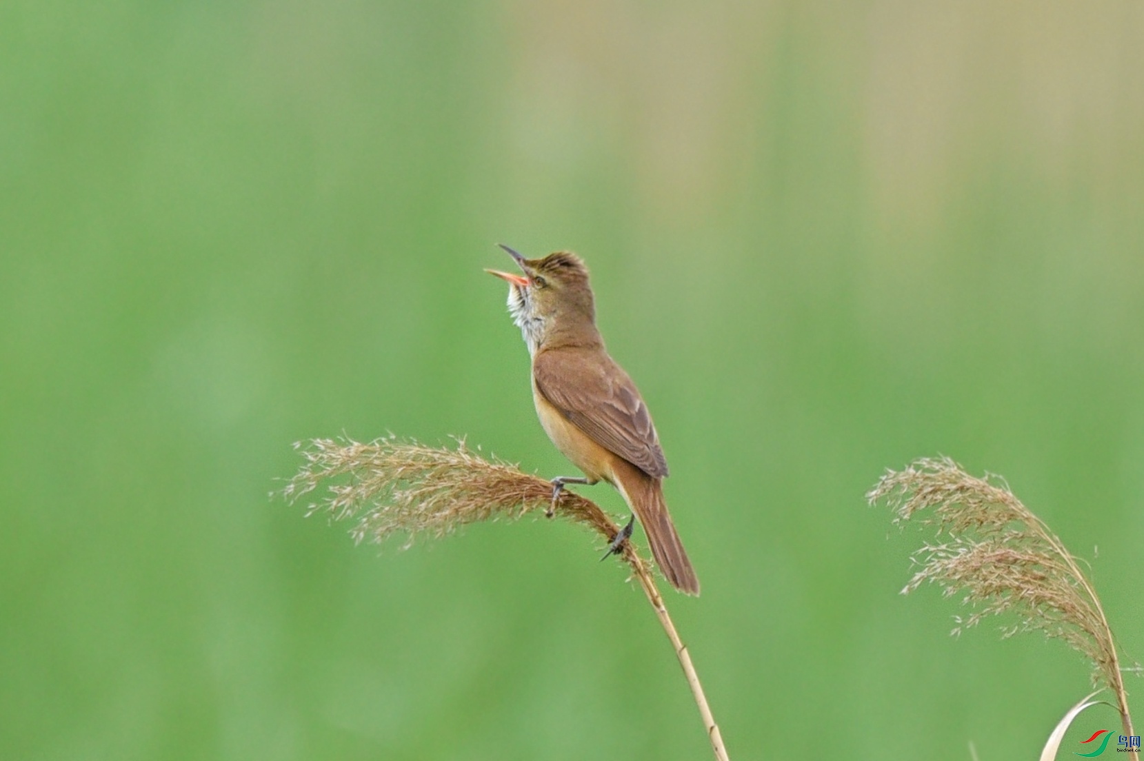 DSC_3028.jpg